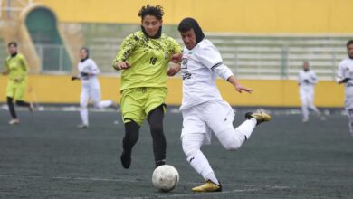 جشنواره گل،از تهران تا سیرجان!