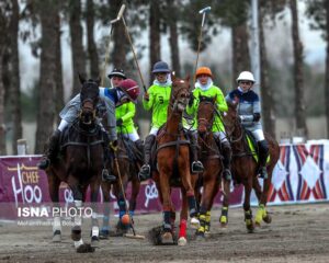 شبکه رادیویی ورزش پوشش دهنده اختصاصی مسابقات نوروزگاه بود