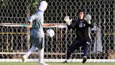 ستارههای نامآشنا در لیست خرید ایراندوست