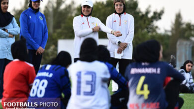 استعداد یابی شهرداری سیرجان توسط ایراندوست