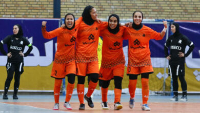 بردهای سریالی ملیحفاری ادامه دارد