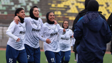 قویِ سفید ناگهان قوی شد