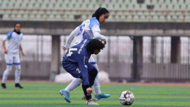 تقسیم امتیازات در نبرد ایراندوست - اردلان