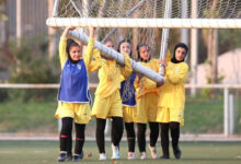 همگروهی شاگردان مهینی با لبنان، کویت و عربستان