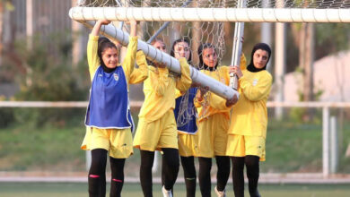 همگروهی شاگردان مهینی با لبنان، کویت و عربستان